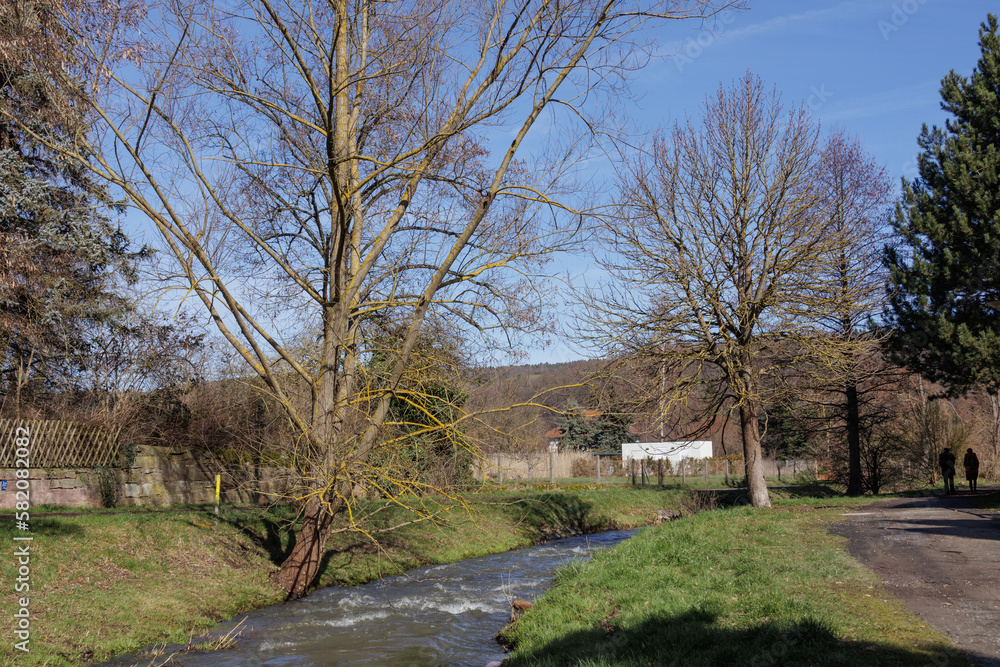 a small torrent with waves flows through a meadow with trees in early springa small torrent with waves flows through a meadow with trees in early spring