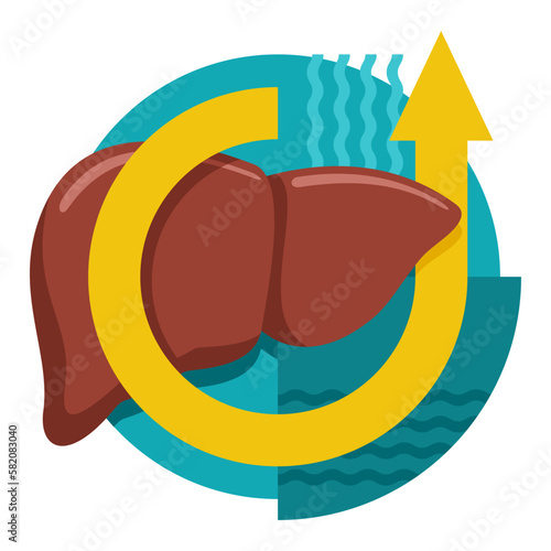 Liver support - nutrient supplement