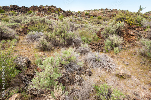 Rugged Rocky Trail at Lava Beds National Monument © Zack Frank