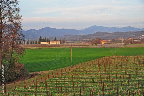 Franciacorta, vigneti e colline in primavera - Brescia