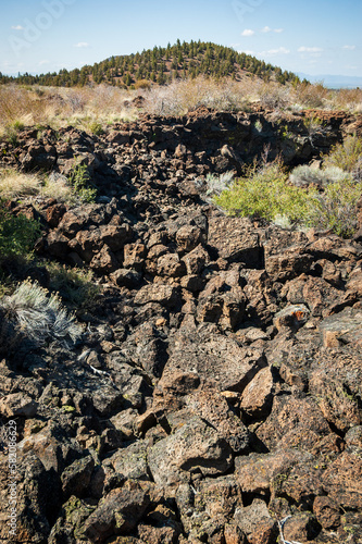 Rocky Field at Lava Beds National Monument