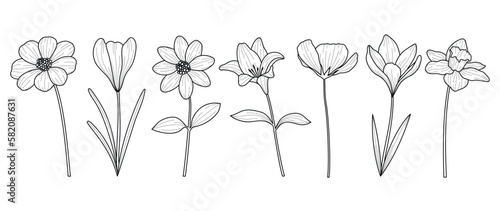Set of hand drawn botanical flowers line art vector. Collection of black white contour drawing of lily, wildflowers, leaf. Design illustration for print, logo, cosmetic, poster, card, branding.