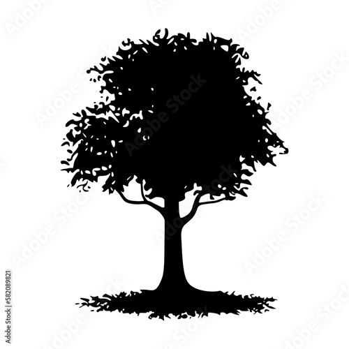 Silhouette of a tree