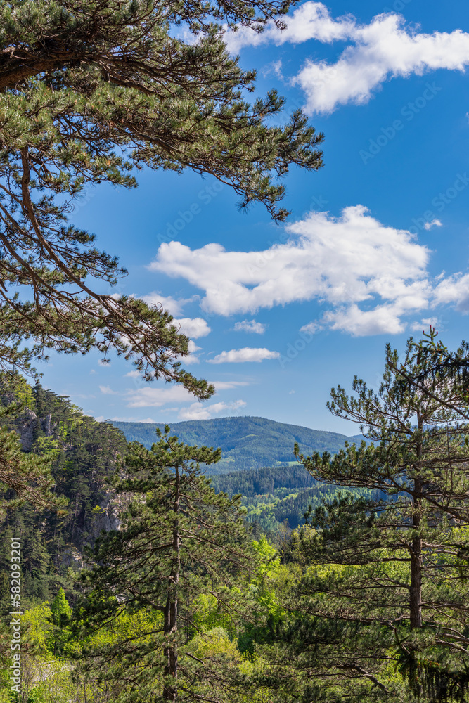 Ein Landschaftsbild mit Wald und Berge und blauen Himmel mit Wolken