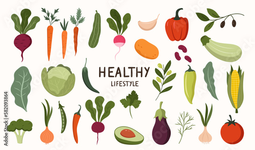 Vegetable set on a separate white background. Healthy eating, vegetarianism and veganism