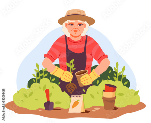 An elderly woman gardener plants plants in a flower bed. Organic gardening. Vector illustration in a flat style.