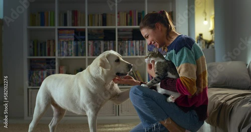 Happy Female Pets Owner Spending her Evening at home in the Living Room. Playful Dog and Cute Cat Enjoying Scratches and Cuddles from Their Owner. Little Family Love, Animal Best Friends photo