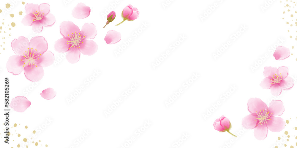Beautiful watercolor hand drawn pink cherry blossoms background with copy spaces for banner, backdrop, poster, card. Sakura flowers and petals.