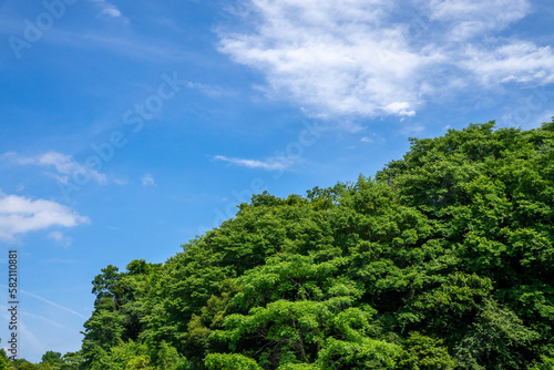 新緑と青空の風景 © inoumasa