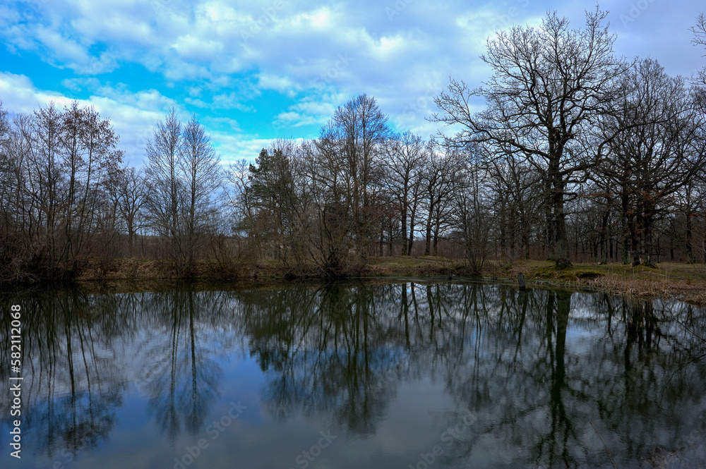 The reflection of trees in the mirror surface of the lake water of a mountain pond. Photo spring sketch. HDR style