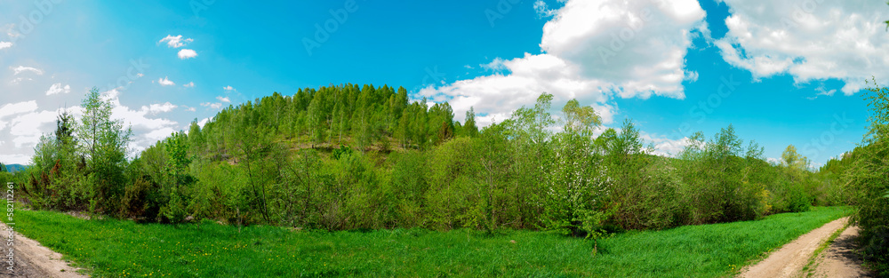 Panorama of the spring forest near the mountain town. Picturesque landscape of a sunny day.