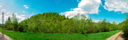 Panorama of the spring forest near the mountain town. Picturesque landscape of a sunny day.