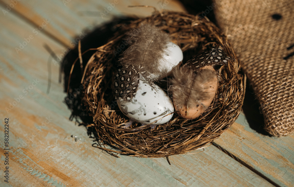 eggs in nest eggs in nest