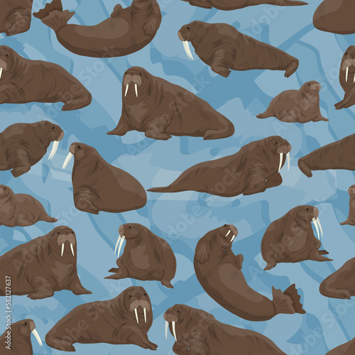 Seamless pattern with walrus in different poses. Males, females and cubs of walruses lie, sit and swim. realistic vector animal