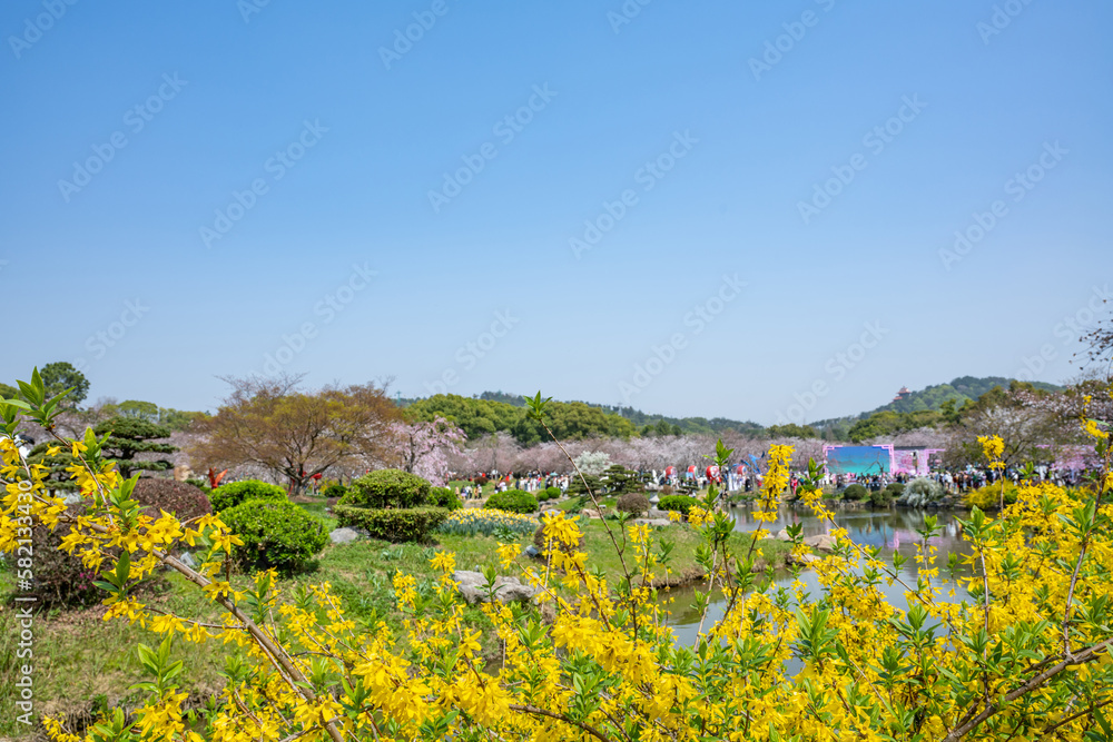 Obraz premium Scenery of East Lake Park in Wuhan, China