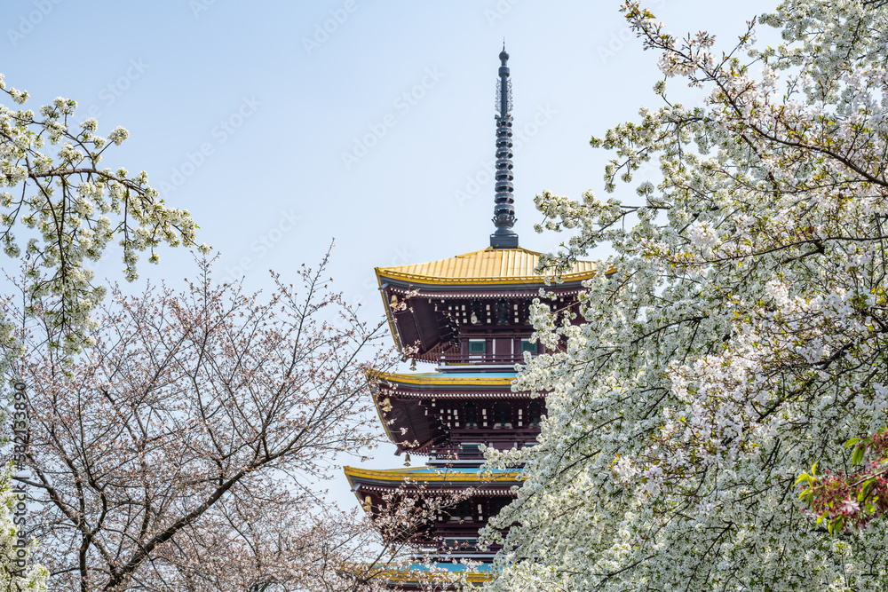 Five-storied pagoda in East Lake Park, Wuhan, China Five-storied pagoda in East Lake Park, Wuhan, China