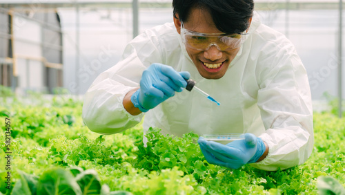 Biologists examining the water quality and checking bacteria in A and B fertilizer water in greenhouse hydroponic vegetable garden, greenoak, redoak, Green Cos Lettuce. photo
