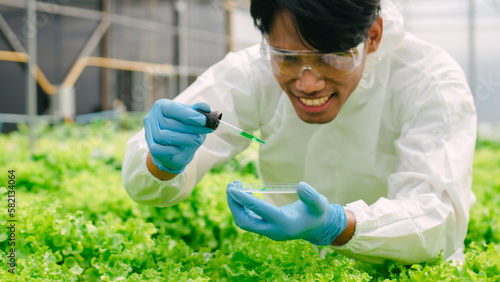 Biologists examining the water quality and checking bacteria in A and B fertilizer water in greenhouse hydroponic vegetable garden, greenoak, redoak, Green Cos Lettuce. photo