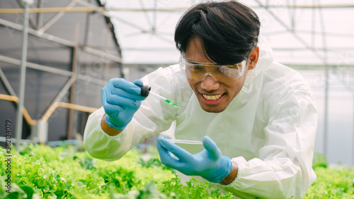 Biologists examining the water quality and checking bacteria in A and B fertilizer water in greenhouse hydroponic vegetable garden, greenoak, redoak, Green Cos Lettuce.