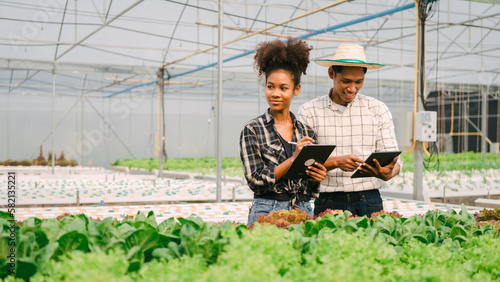 Young friends smart farmer gardening, checking quality together in the salad hydroponic garden greenhouse, working together.