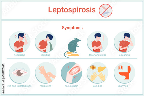 vector illustrations infographic symptoms of leptospirosis  fever, chills  nausea, vomiting, headache, cough, red eyes, diarrhea, skin rashes, including jaundice.
