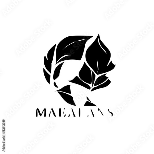 Blatt vector