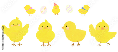 Chick illustration in various poses                                         