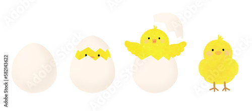 Illustration of a chick breaking out of an eggshell, 달걀 껍질 깨고 나오는 병아리 일러스트 photo