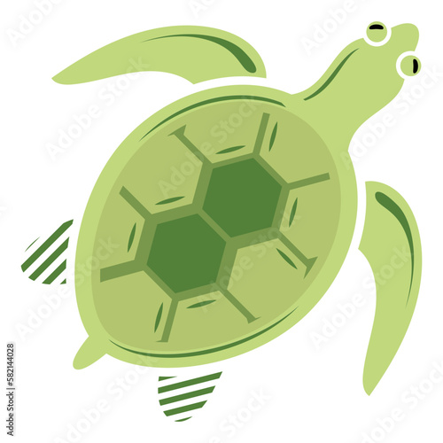 Turtle concept, omnivores vector design, Sea Food symbol, Underwater Animals aquatic Common species illustration 