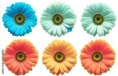 Set of colorful gerbera flowers isolated png on white background. Generative Ai