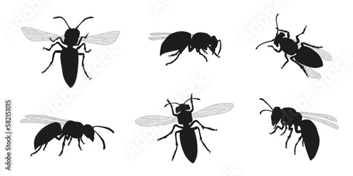 various wasp silhouettes © jan stopka