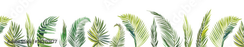 Watercolor seamless border made of palm leaves  branches isolated elements on a white background. For Palm Sunday designs