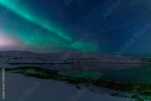 aurora borealis northern lights in karvik town of tromso, norway © murattellioglu
