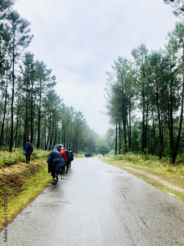 Obraz premium Tramo del Camino de Santiago, España