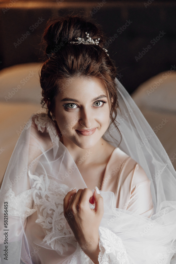 tender morning of the wedding day. fashion photo of beautiful bride with dark hair in elegant wedding dress and diadem posing in room in the wedding morning tender morning of the wedding day. fashion photo of beautiful bride with dark hair in elegant wedding dress and diadem posing in room in the wedding morning