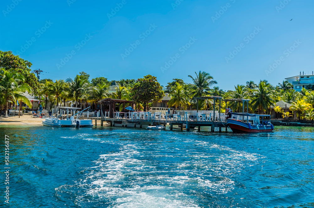 A view from a boat looking back towards the shore at West Bay on Roatan Island on a sunny day