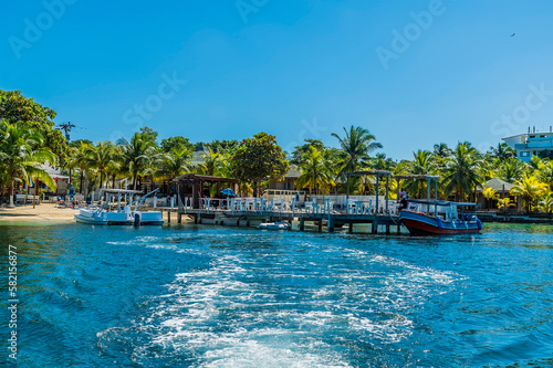 A view from a boat looking back towards the shore at West Bay on Roatan Island on a sunny day