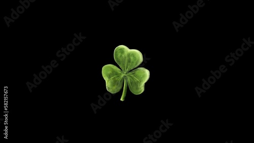 Animated green clover - St.Patrick's