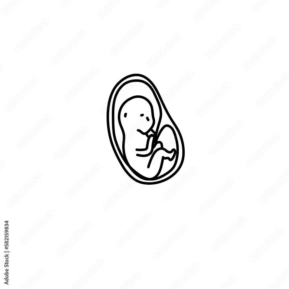 Obraz premium Human fetus development line art.