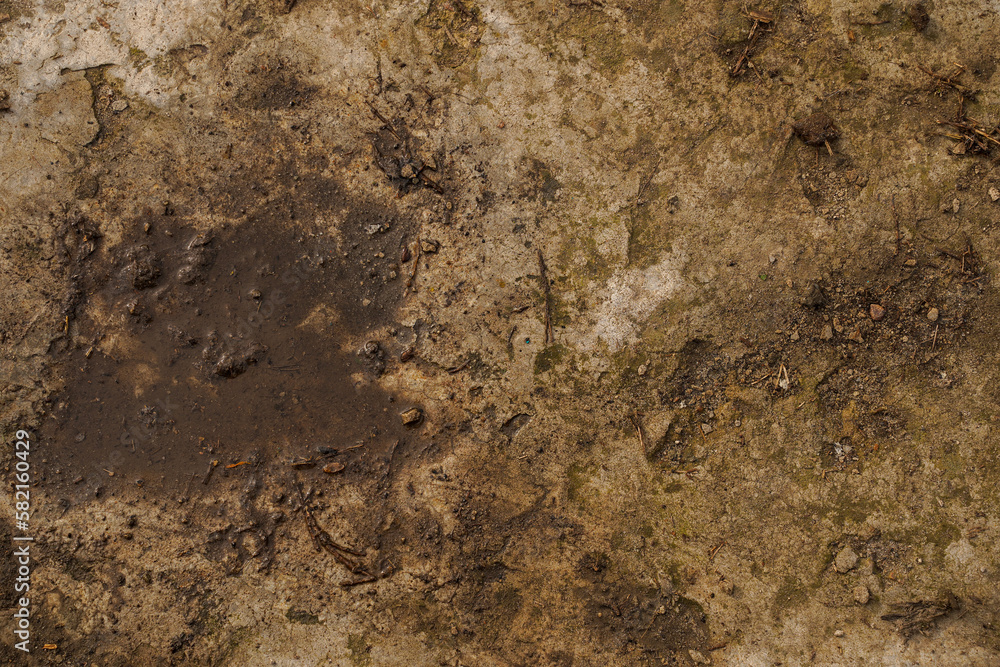 Old and dirty cement wall texture background Old and dirty cement wall texture background