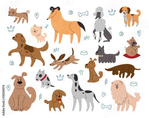 Cute sketch dogs. Pretty domestic animals. Fun pet characters. Happy portraits for wallpaper. Canine breeds. Poodle and dachshund. Adorable mammals set. Vector tidy isolated illustration