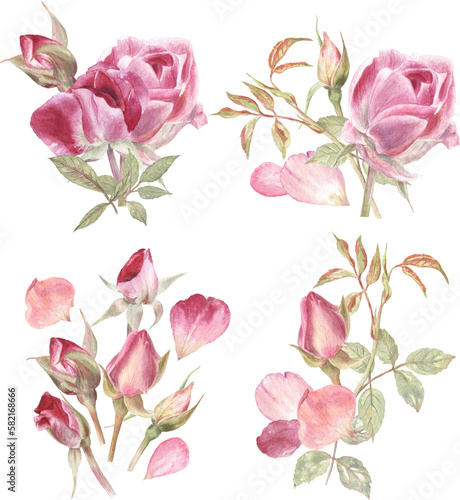 Watercolor illustrations of the beautiful roses, rosebuds and leaves. 4 elegant hand drawn floral arrangements