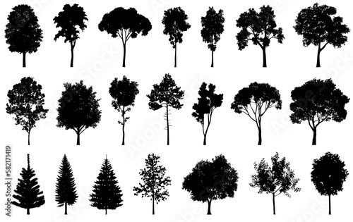 Set of silhouettes various trees on a white background, PNG collection