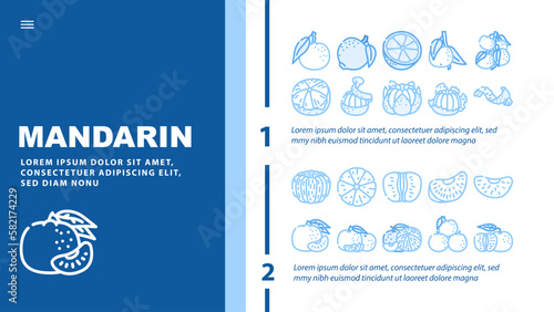 mandarin citrus fruit landing header vector