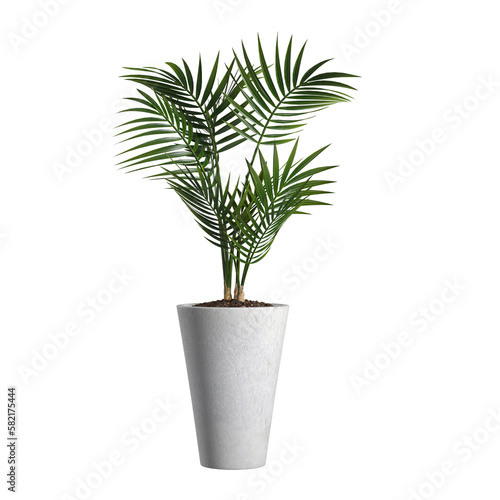 plant leave for modern interior decoration on transparent background PNG file