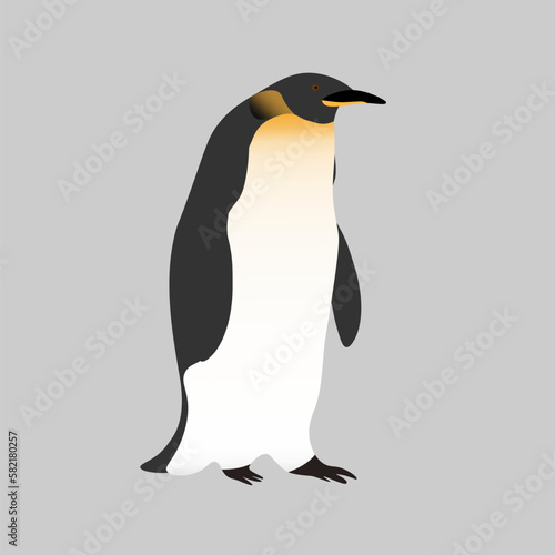 Cute realistic Emperor penguin on a grey background. Realistic bird of the Antarctic.Editable Vector for packaging, paper, prints and cards, education materials, design element.
