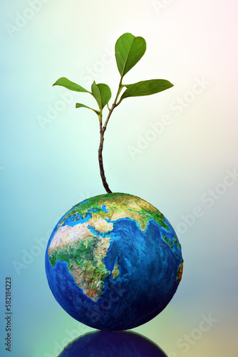 Earth globe with small plant