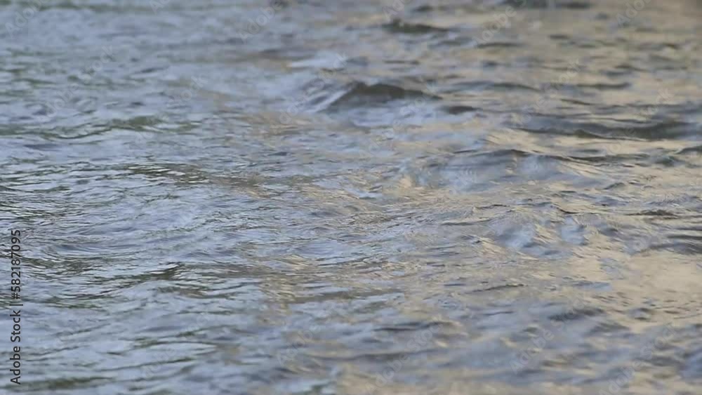 Agua río Agua río