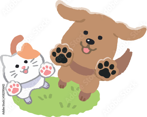 
芝生で見上げる犬と猫