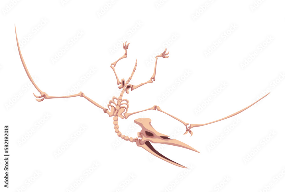 Fototapeta premium Paleontological museum interior element. Prehistoric dinosaur skeleton. Fossils and archaeological discoveries. Historical artefacts. Vector science